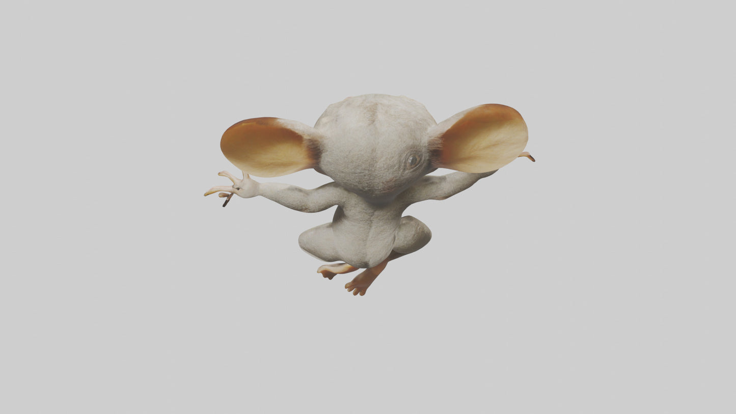 3D model Bush Baby leaping model VR / AR / low-poly