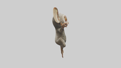 3D model Bush Baby leaping model VR / AR / low-poly