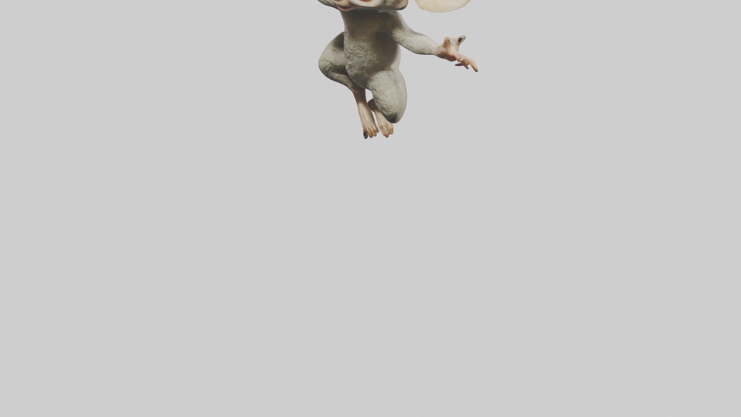 3D model Bush Baby leaping model VR / AR / low-poly