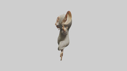 3D model Bush Baby leaping model VR / AR / low-poly