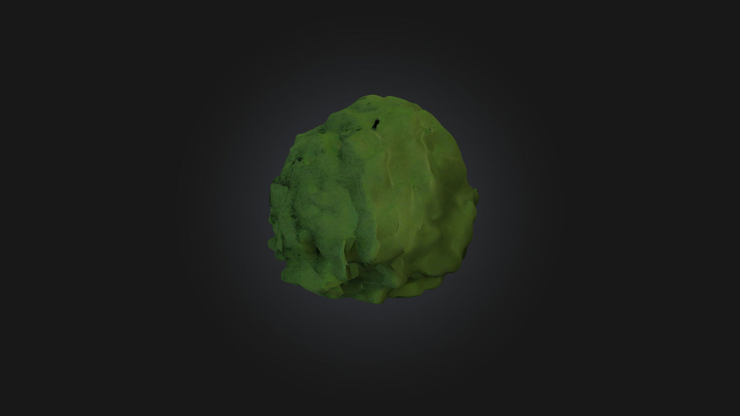 3D model Bush model VR / AR / low-poly