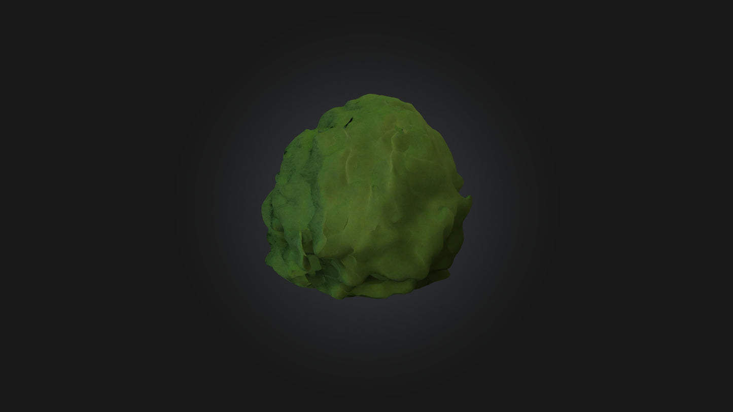 3D model Bush model VR / AR / low-poly