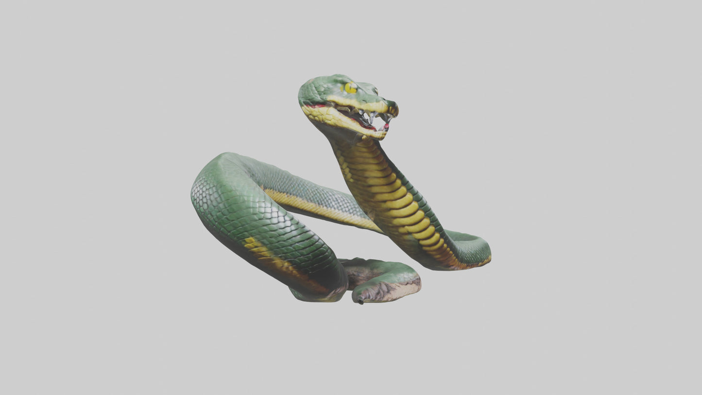 3D model Bushmaster Snake statue model VR / AR / low-poly