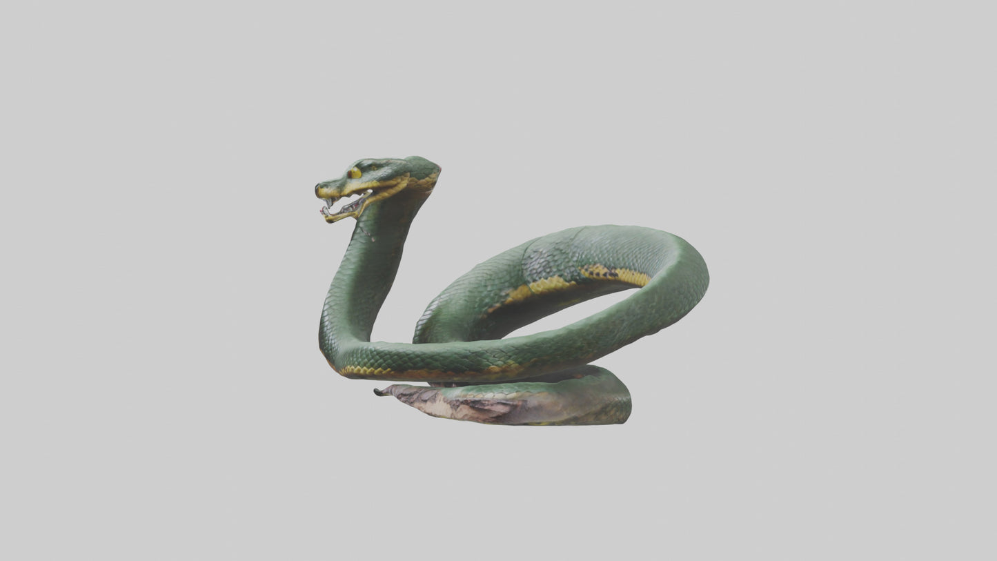 3D model Bushmaster Snake statue model VR / AR / low-poly