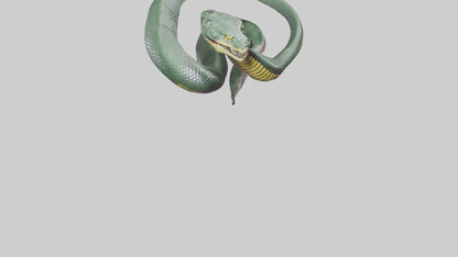 3D model Bushmaster Snake statue model VR / AR / low-poly