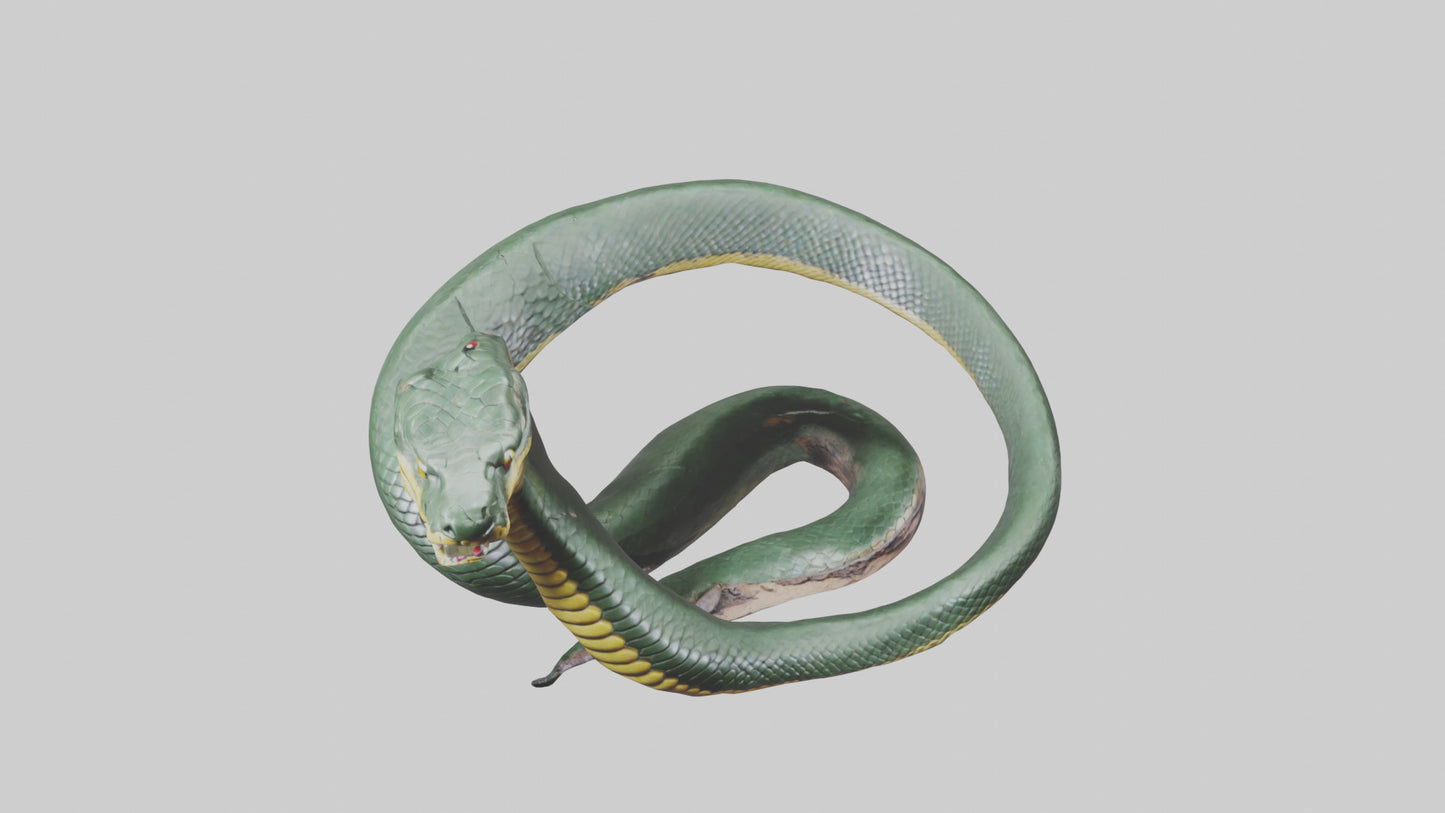 3D model Bushmaster Snake statue model VR / AR / low-poly