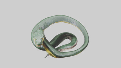 3D model Bushmaster Snake statue model VR / AR / low-poly