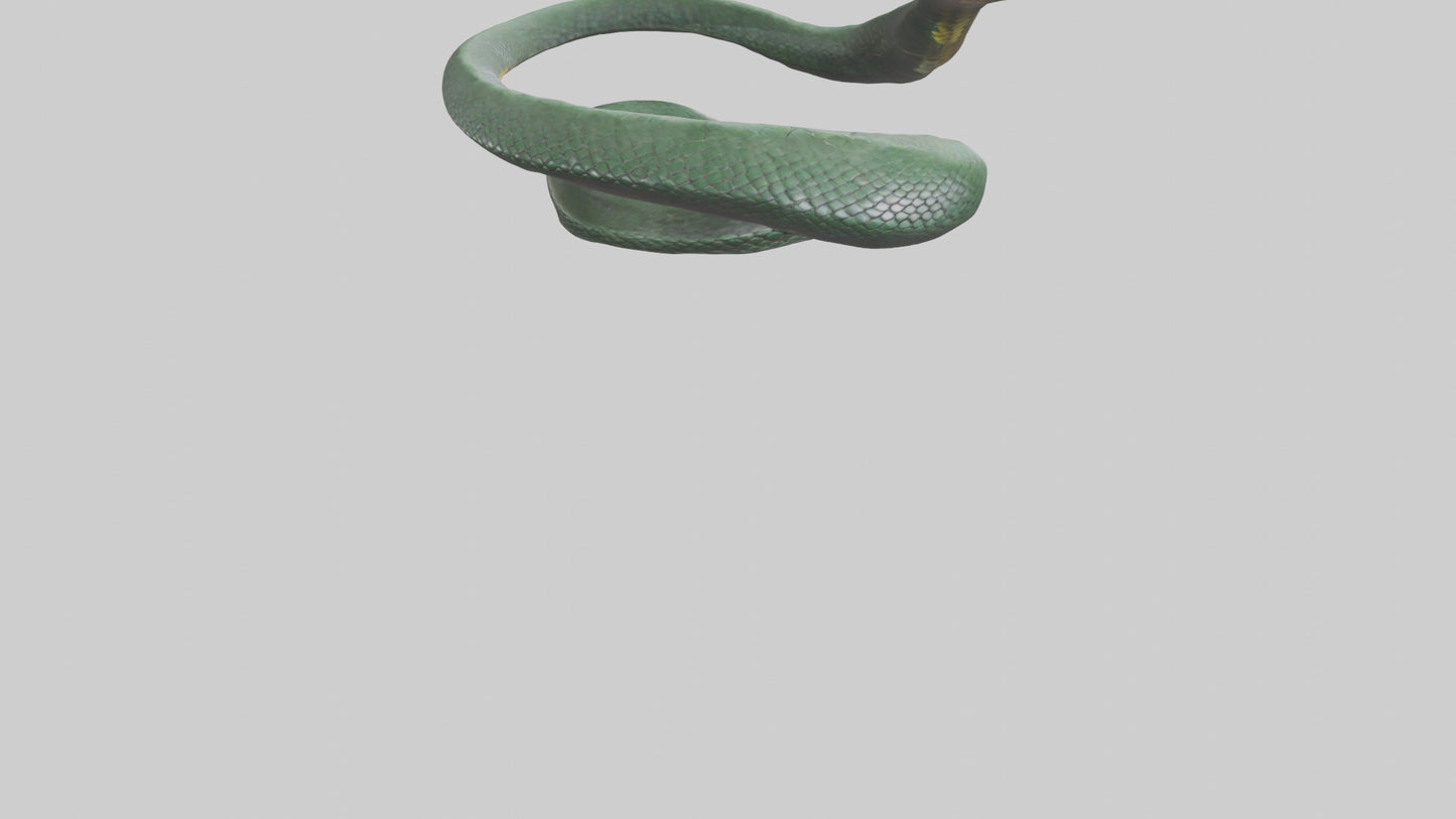 3D model Bushmaster Snake statue model VR / AR / low-poly