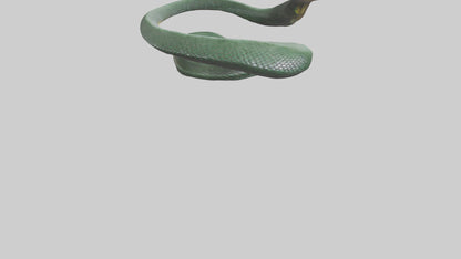 3D model Bushmaster Snake statue model VR / AR / low-poly