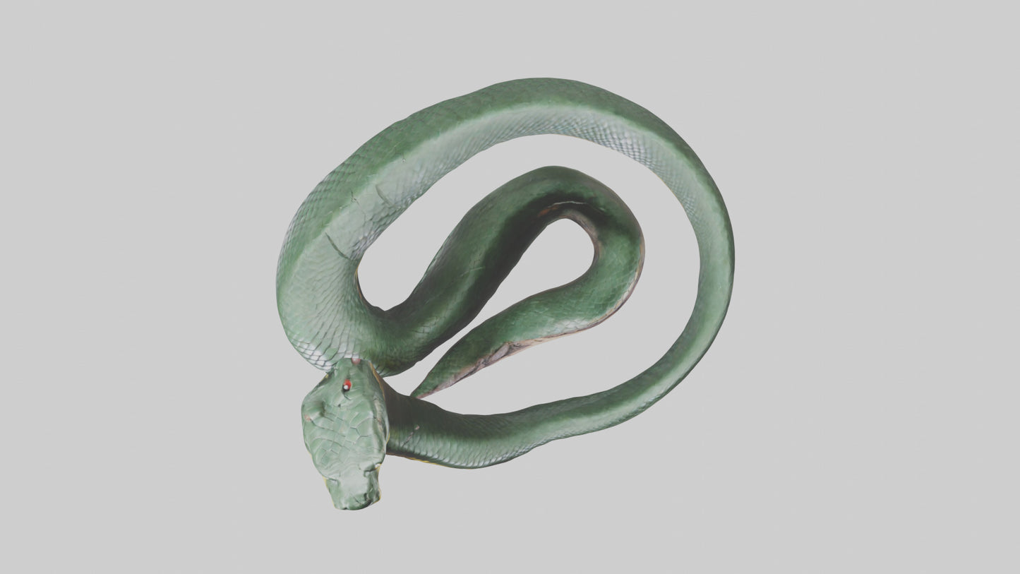 3D model Bushmaster Snake statue model VR / AR / low-poly