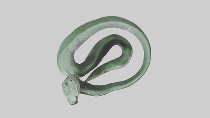 3D model Bushmaster Snake statue model VR / AR / low-poly