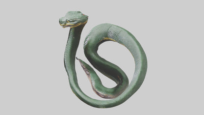 3D model Bushmaster Snake statue model VR / AR / low-poly