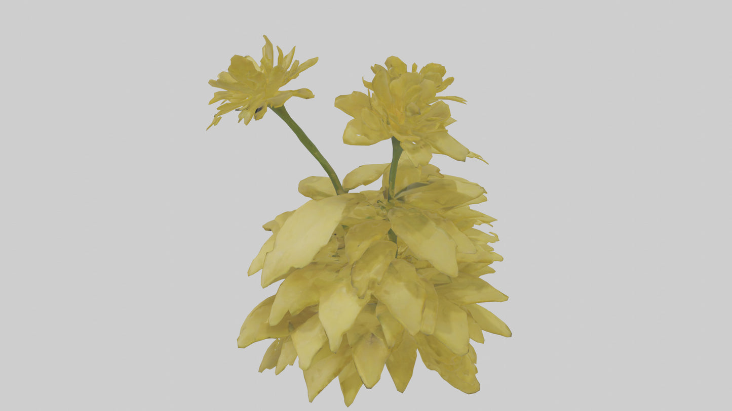 3D model Buttercup model VR / AR / low-poly
