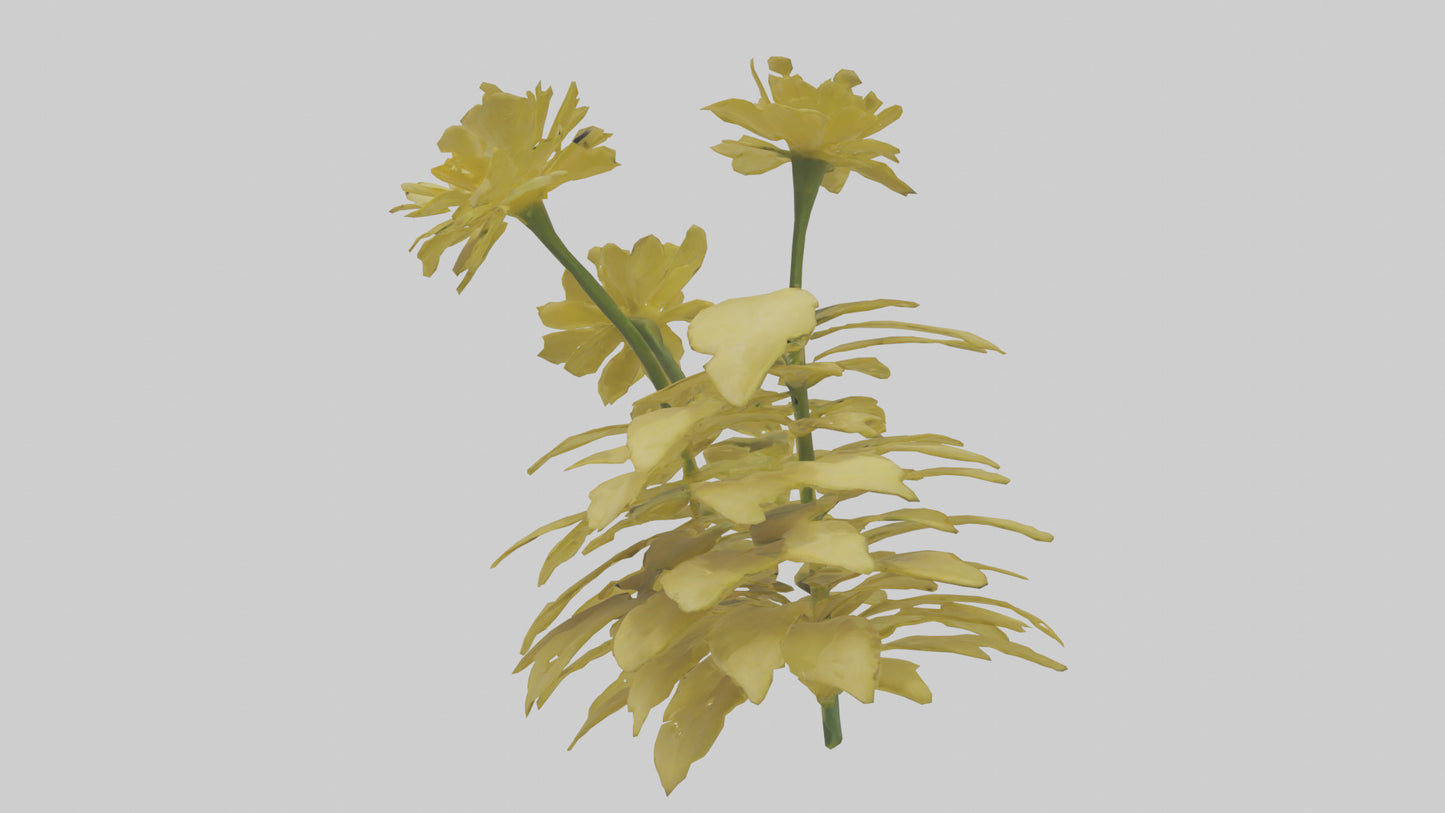 3D model Buttercup model VR / AR / low-poly