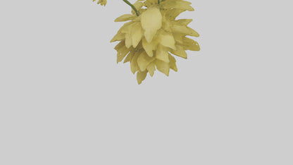 3D model Buttercup model VR / AR / low-poly