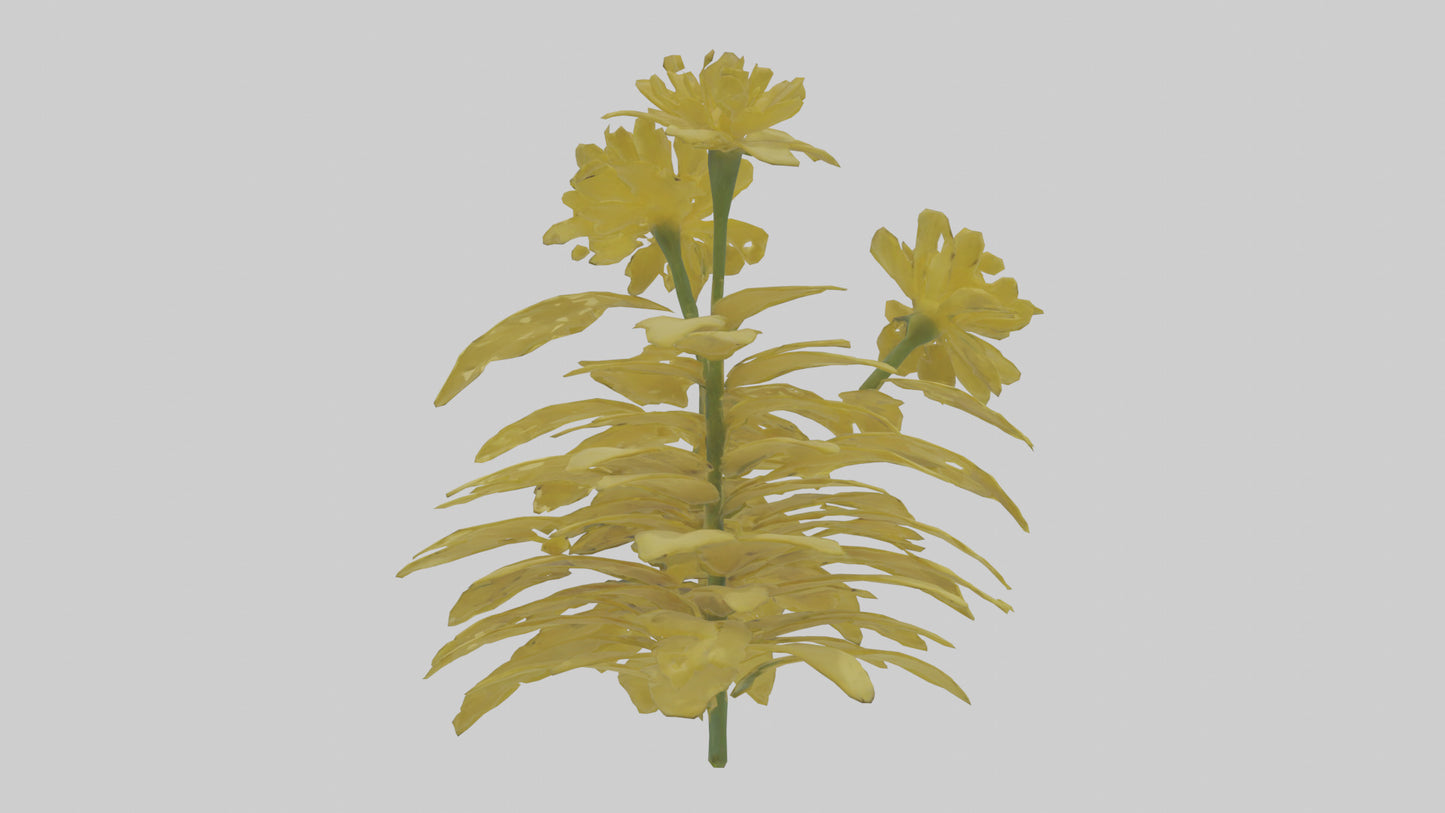 3D model Buttercup model VR / AR / low-poly