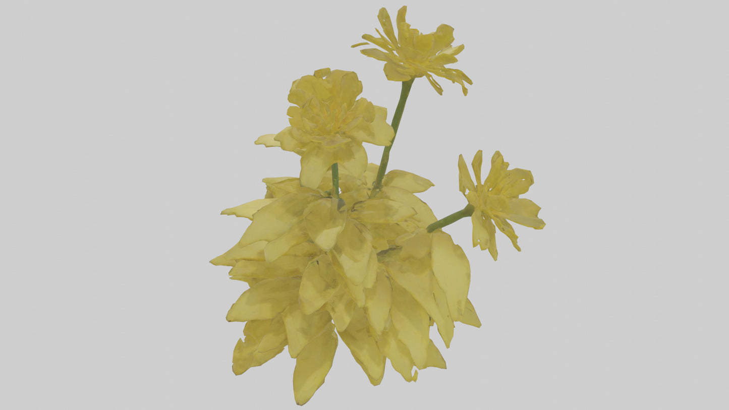 3D model Buttercup model VR / AR / low-poly