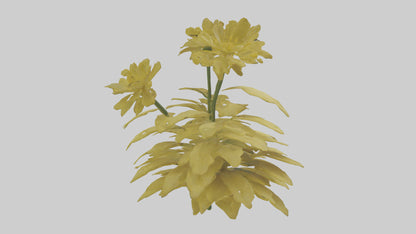 3D model Buttercup model VR / AR / low-poly