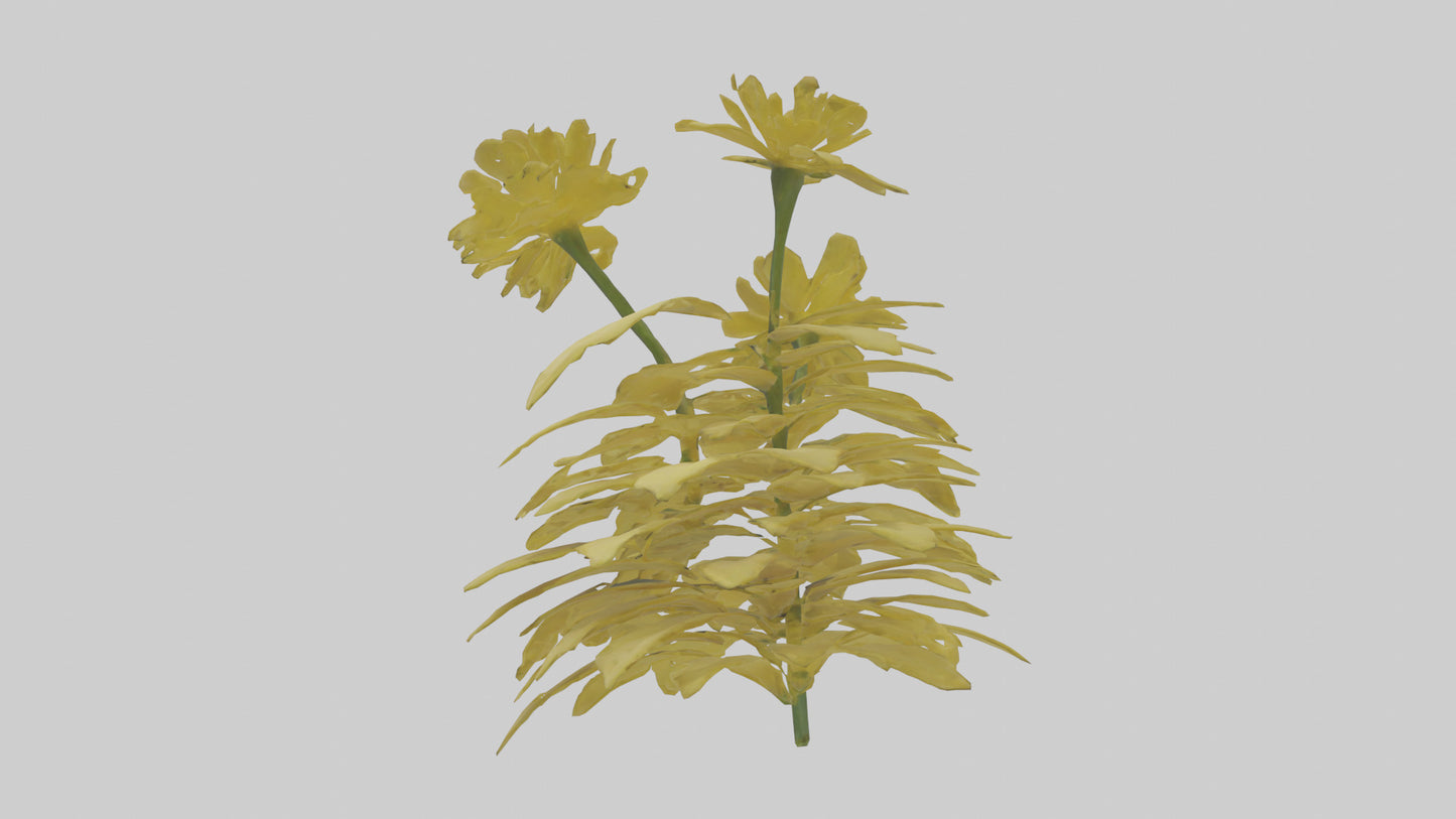 3D model Buttercup model VR / AR / low-poly