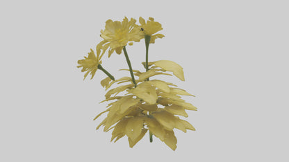 3D model Buttercup model VR / AR / low-poly