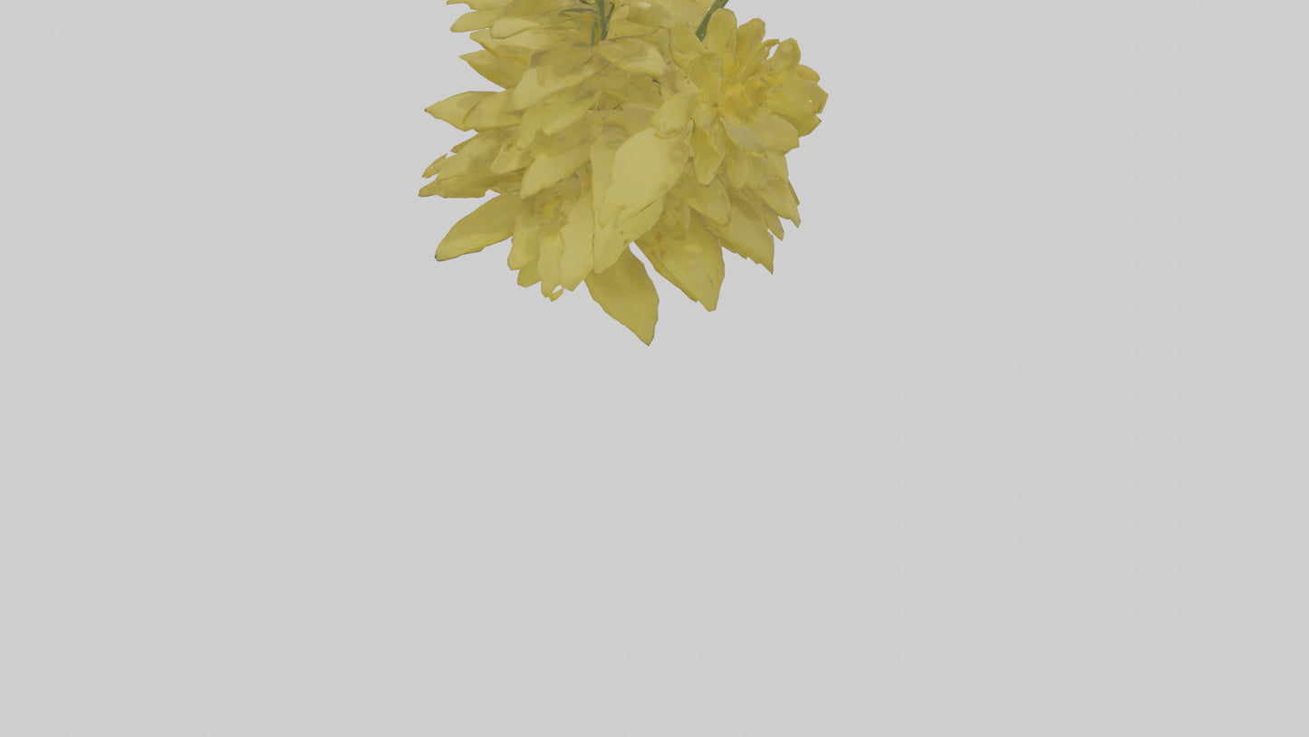 3D model Buttercup model VR / AR / low-poly