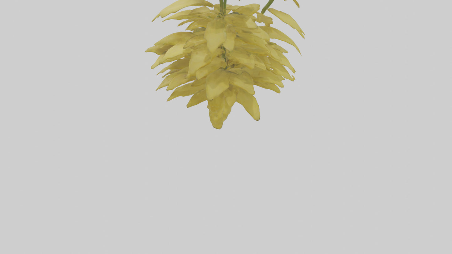 3D model Buttercup model VR / AR / low-poly