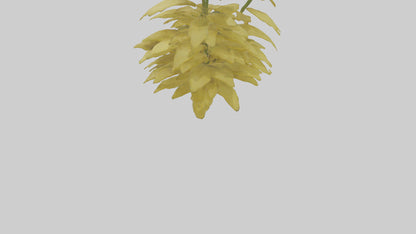 3D model Buttercup model VR / AR / low-poly