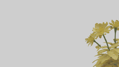 3D model Buttercup model VR / AR / low-poly