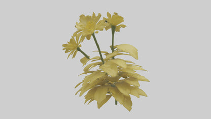 3D model Buttercup model VR / AR / low-poly