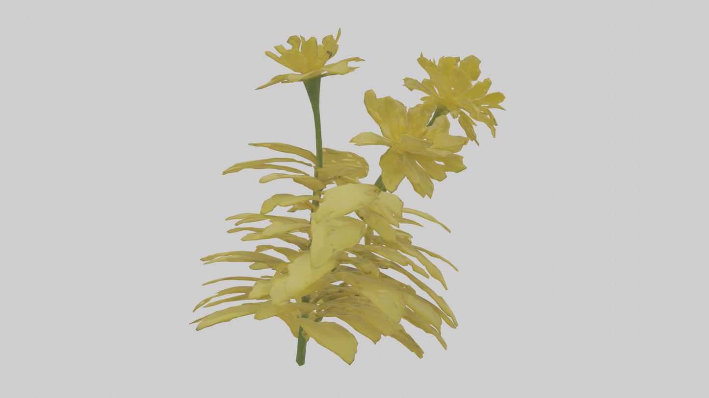 3D model Buttercup model VR / AR / low-poly