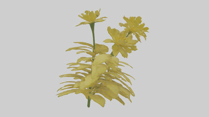 3D model Buttercup model VR / AR / low-poly