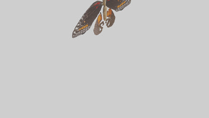 Butterfly Digestive System VR / AR / low-poly