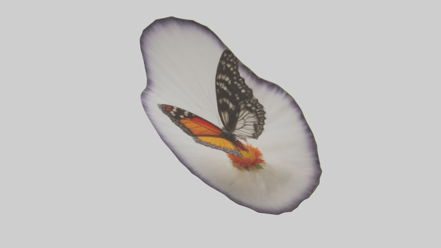3D model Butterfly landing on flower model VR / AR / low-poly