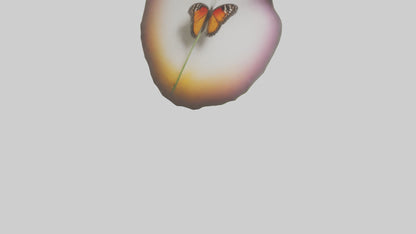 3D model Butterfly landing on flower model VR / AR / low-poly