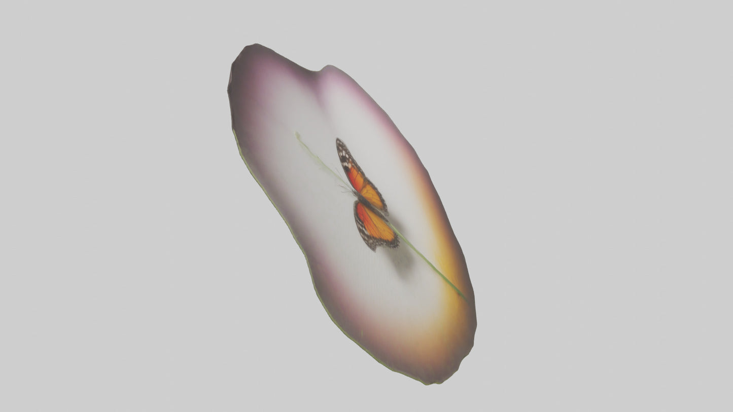 3D model Butterfly landing on flower model VR / AR / low-poly