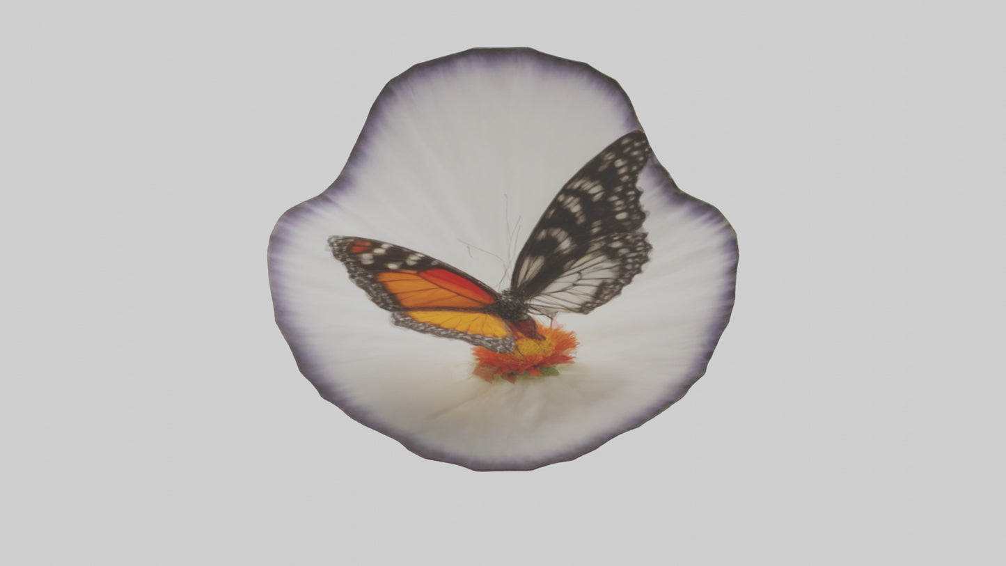 3D model Butterfly landing on flower model VR / AR / low-poly