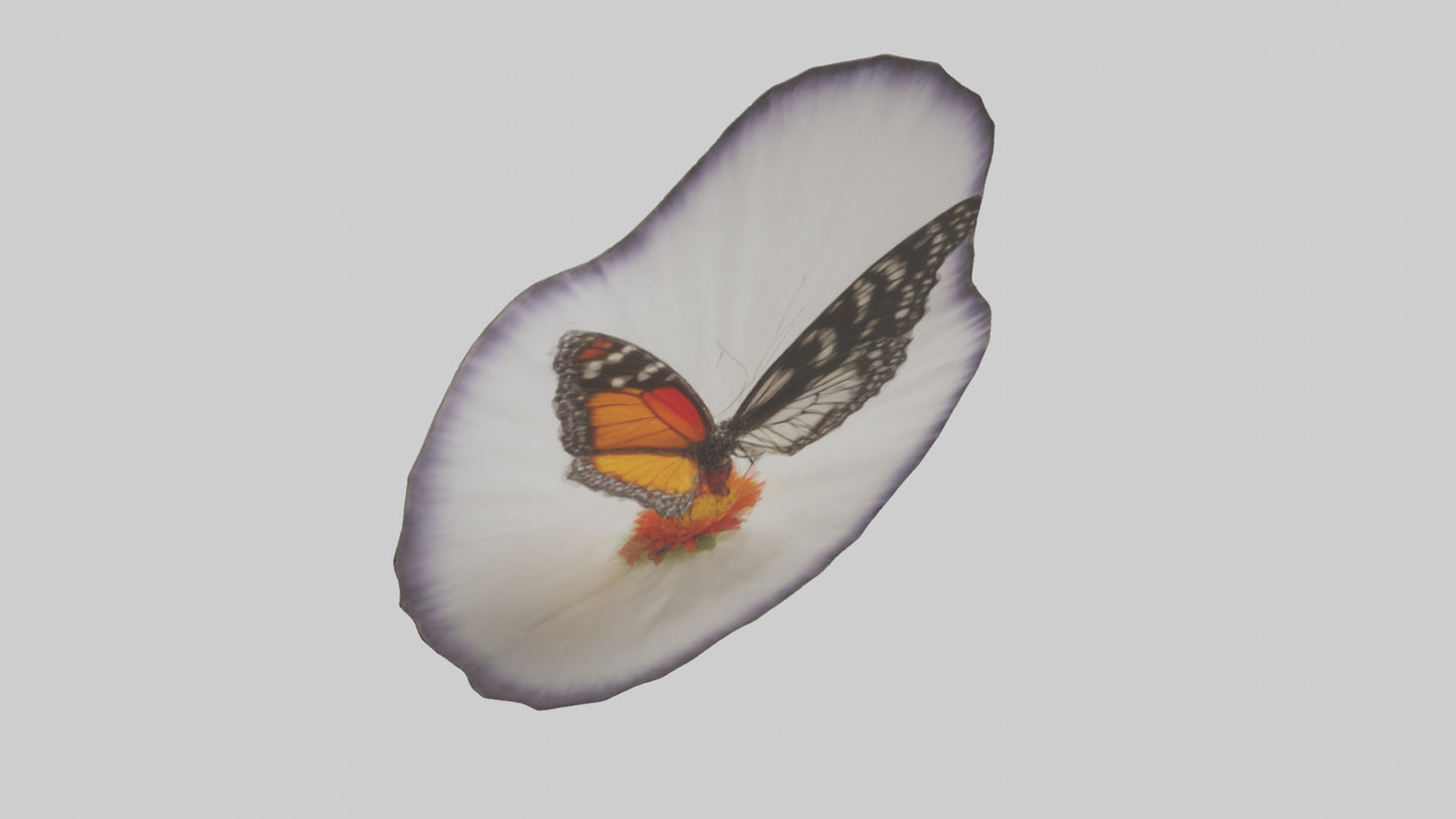 3D model Butterfly landing on flower model VR / AR / low-poly