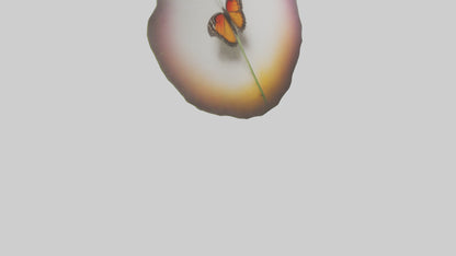 3D model Butterfly landing on flower model VR / AR / low-poly