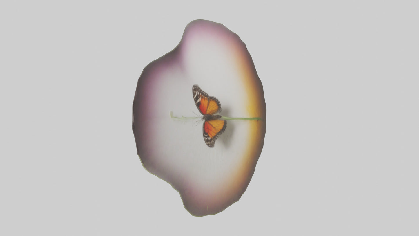 3D model Butterfly landing on flower model VR / AR / low-poly