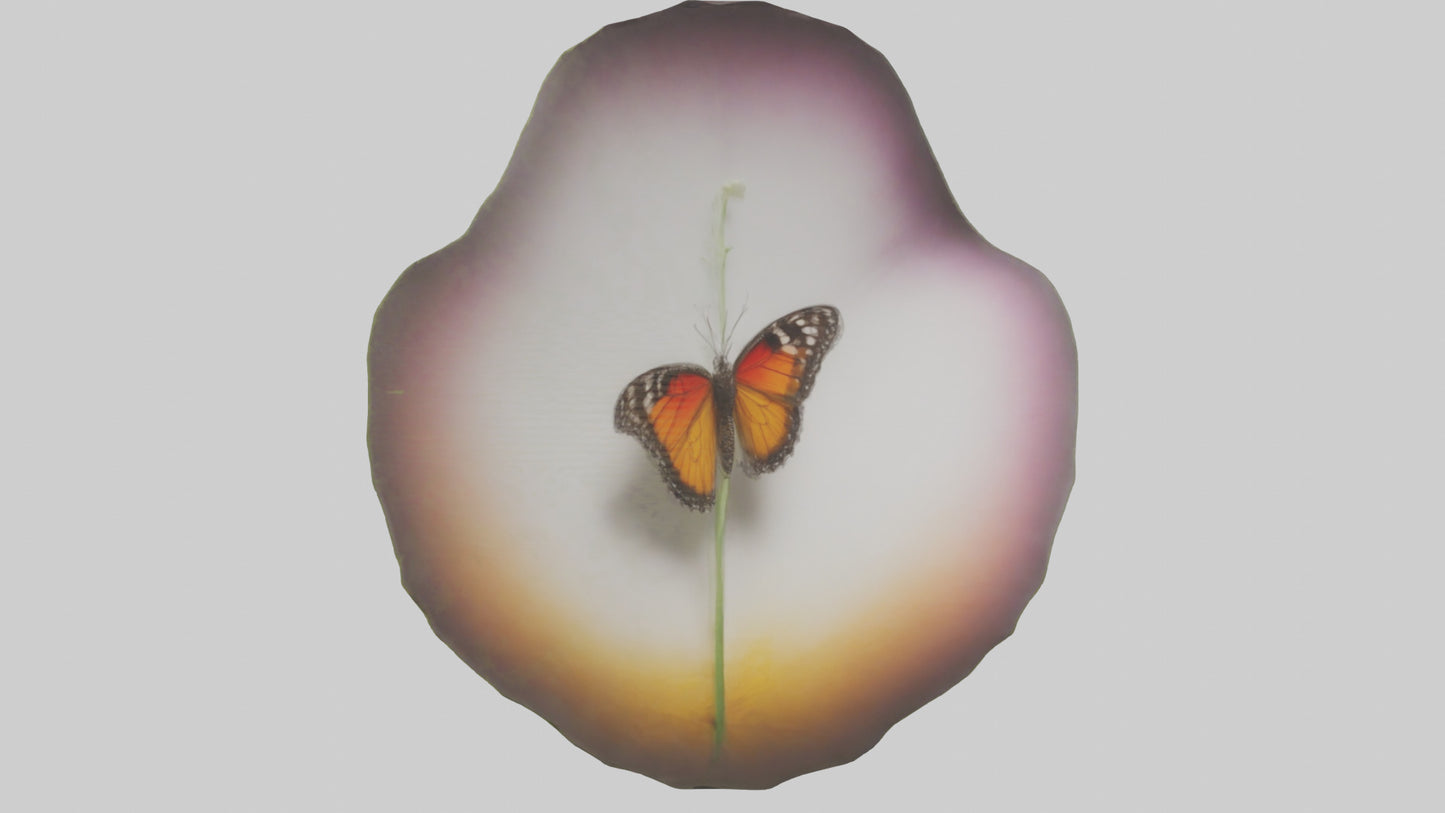 3D model Butterfly landing on flower model VR / AR / low-poly