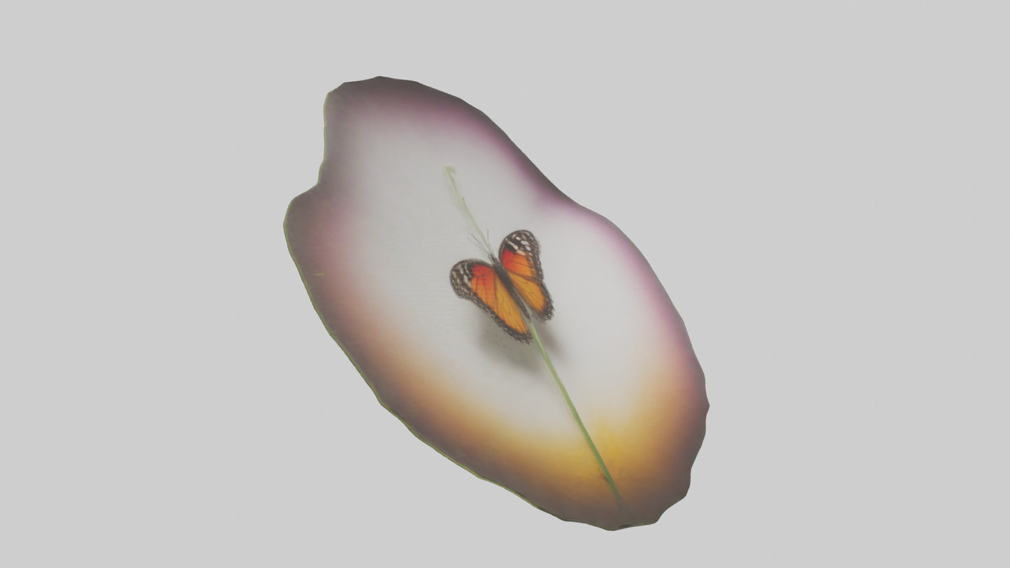 3D model Butterfly landing on flower model VR / AR / low-poly