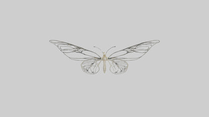 Butterfly Skeleton model VR / AR / low-poly