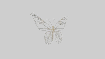 Butterfly Skeleton model VR / AR / low-poly