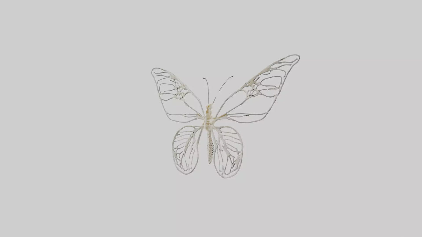Butterfly Skeleton model VR / AR / low-poly