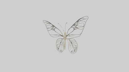 Butterfly Skeleton model VR / AR / low-poly
