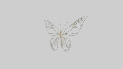Butterfly Skeleton model VR / AR / low-poly