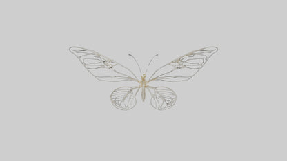 Butterfly Skeleton model VR / AR / low-poly