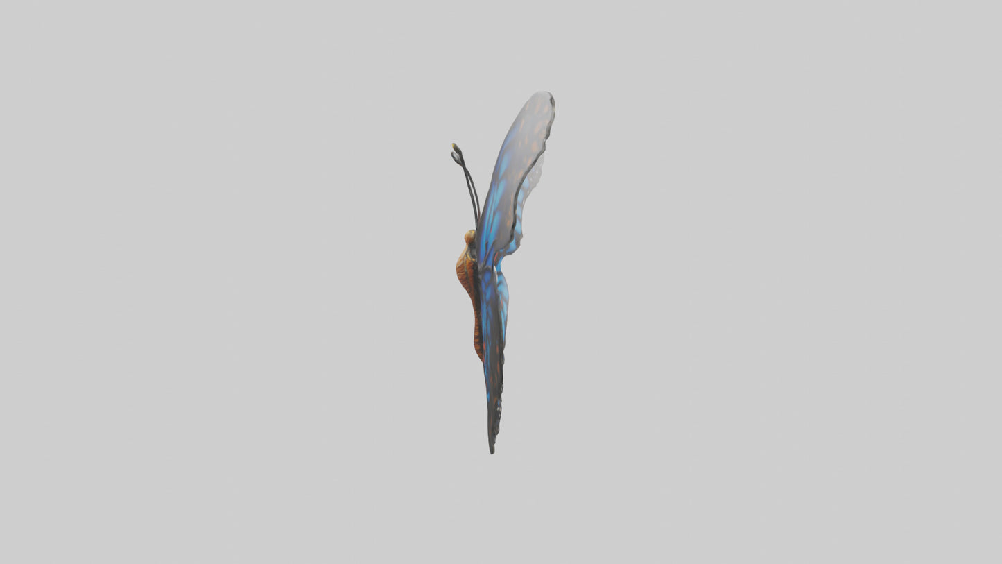 3D model Butterfly Wings Model VR / AR / low-poly