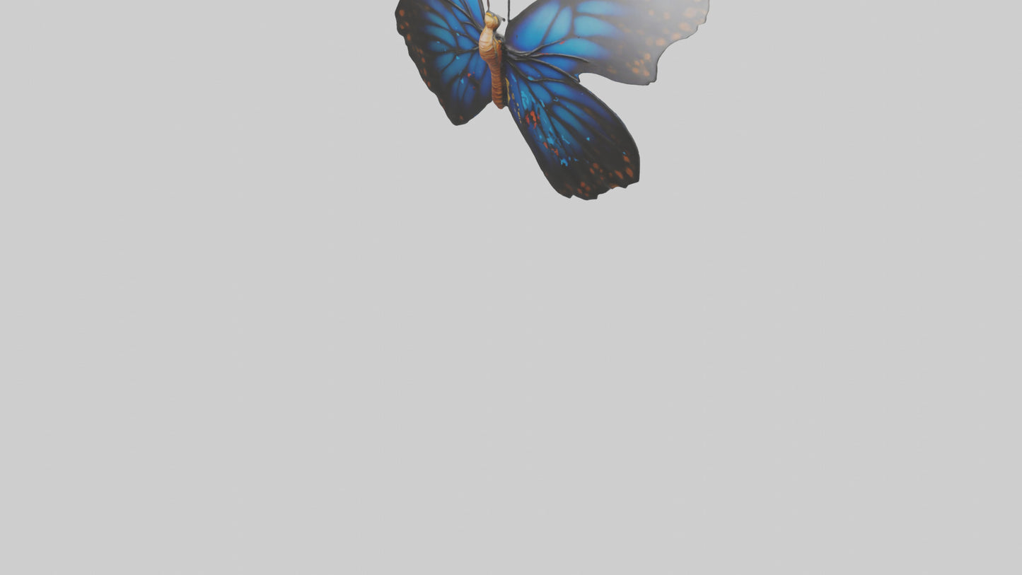 3D model Butterfly Wings Model VR / AR / low-poly