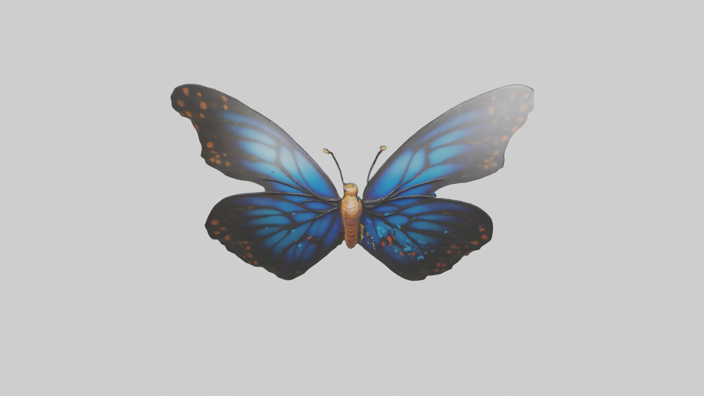 3D model Butterfly Wings Model VR / AR / low-poly